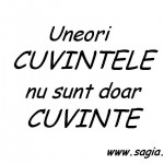www.sagia.ro