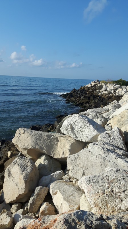 Cum arata o zi fara cusur?