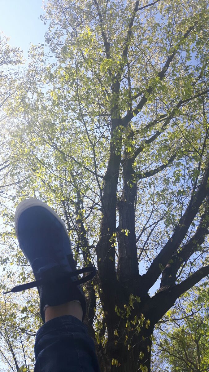 Inutilități inutile sau de ce nu București