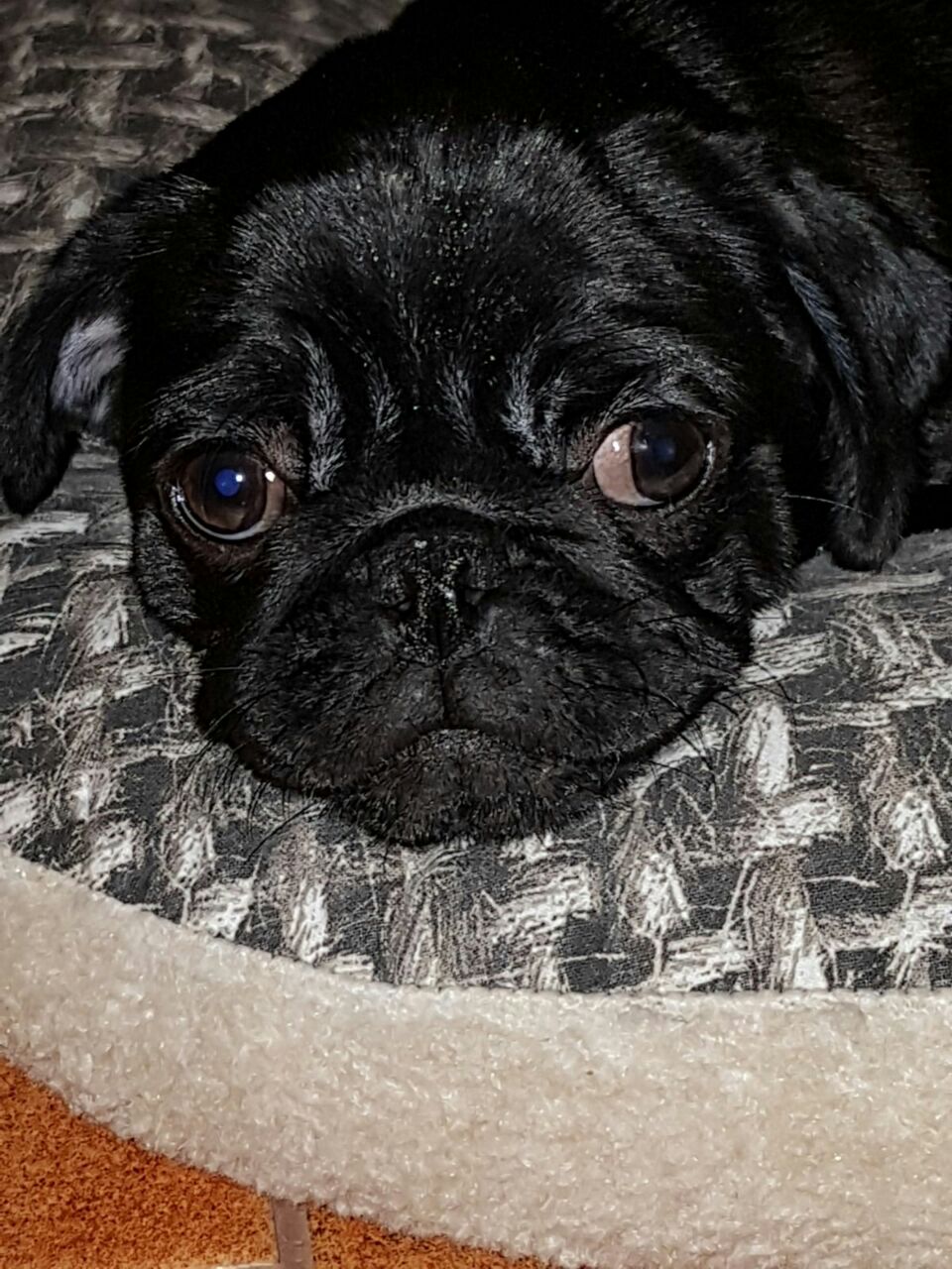 Orașul mic și semne de civilizație