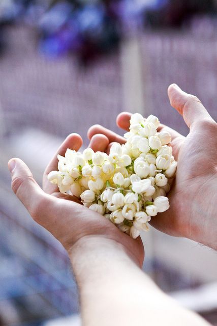 Te rog să nu spui asta