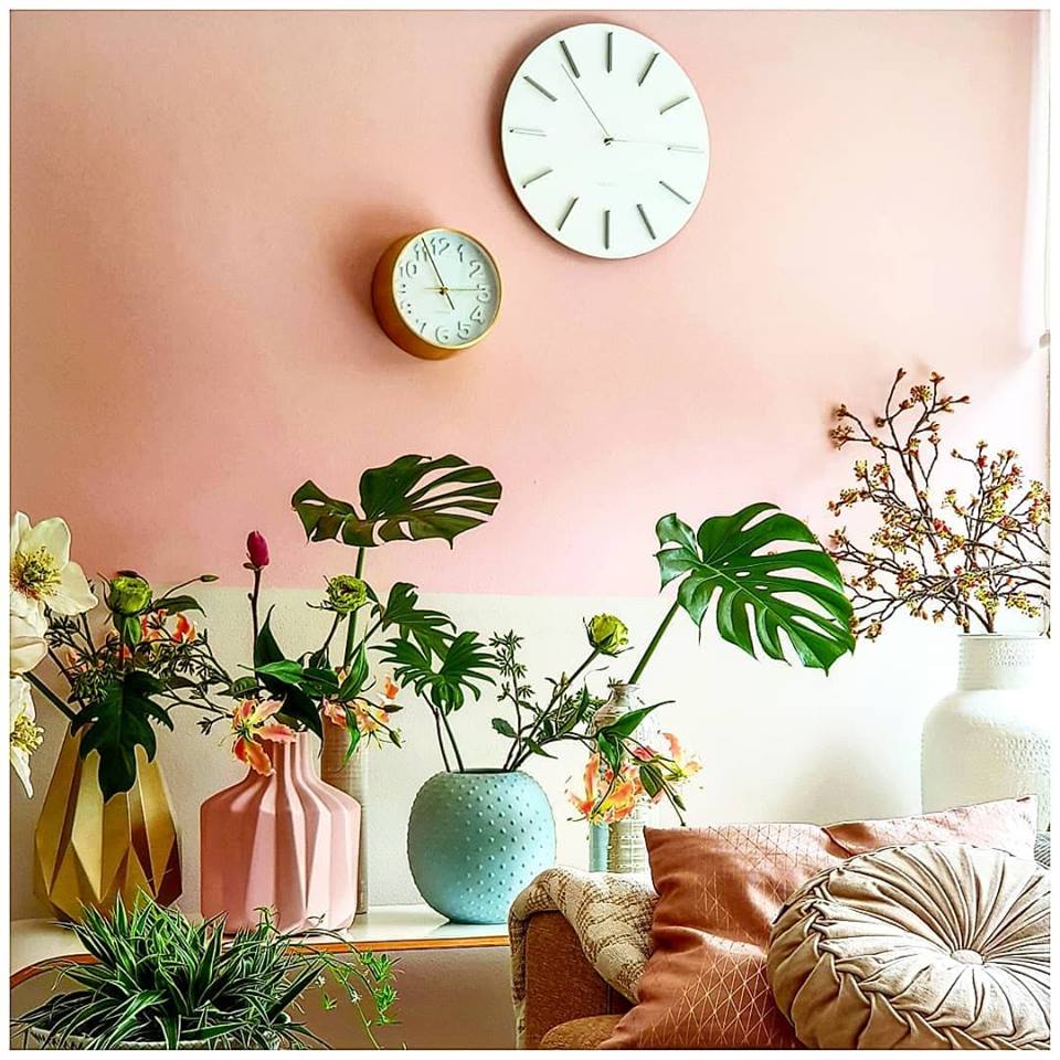 Hobby. Plante. Filodendron