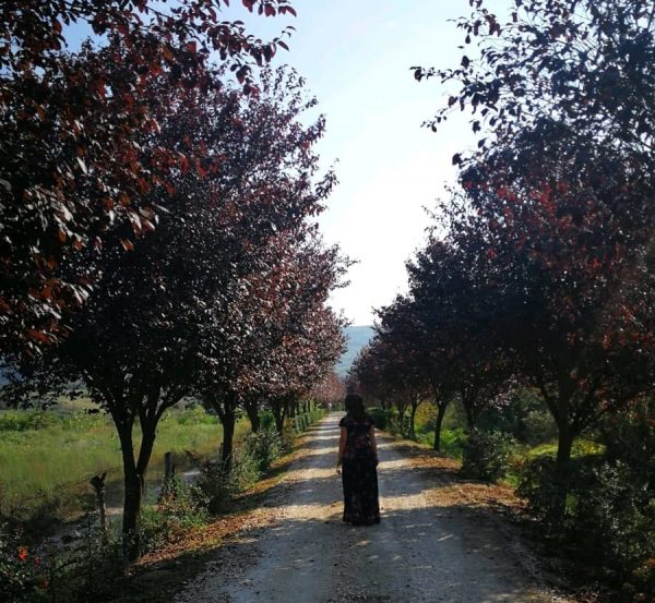 Hobby. (1) Plante – Toamna